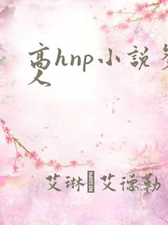 高hnp小说多人