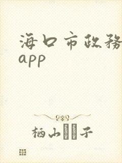 海口市政务服务app