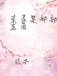 叶寻是哪部小说主角