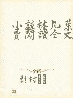 小说林凡叶惜免费阅读全文最新章节