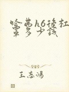 哈弗h6后杠灯罩多少钱 哈弗h6后杠灯罩多少钱