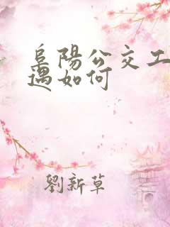 阜阳公交工资待遇如何