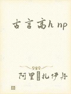 古言高h np