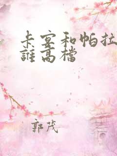 卡宴和帕拉梅拉谁高档