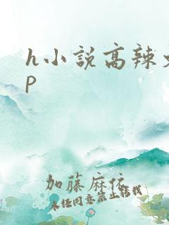 h小说高辣文np