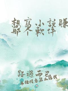 想写小说赚钱去哪个软件