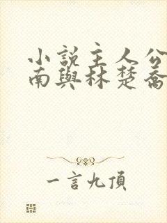 小说主人公李向南与林楚乔免费阅读