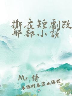 撕夜短剧改编自哪部小说
