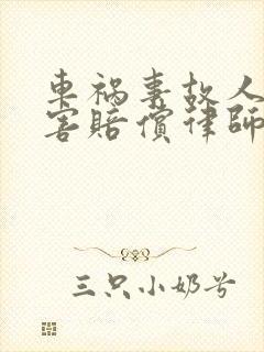 车祸事故人身损害赔偿律师