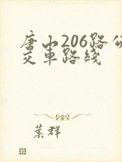 唐山206路公交车路线