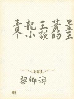 青龙王萧晨是哪个小说的主角