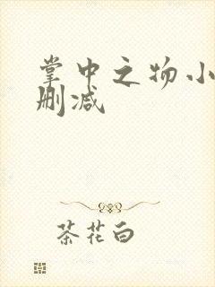 掌中之物小说无删减