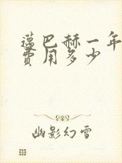 迈巴赫一年养车费用多少