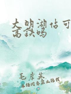 大明湖站可以乘高铁吗