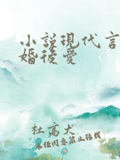 小说现代言情先婚后爱