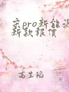 宋pro新能源新款报价
