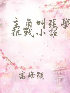 主角叫张学风的抗战小说