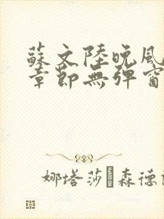 苏文陆晚风最新章节无弹窗笔趣阁