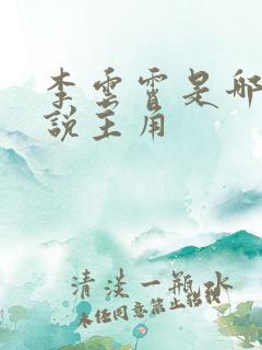 李云霄是哪本小说主角