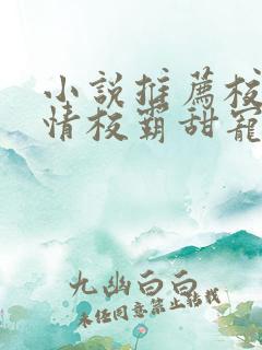 小说推荐校园言情校霸甜宠