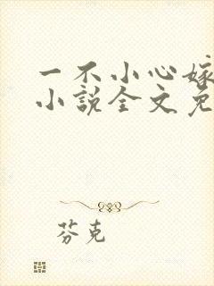 一不小心嫁总裁小说全文免费阅读