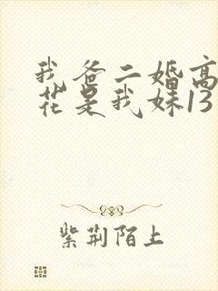 我爸二婚高冷校花是我妹13