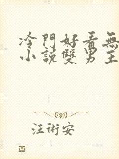 冷门好看无限流小说双男主