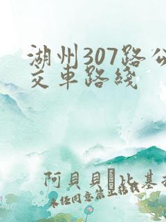 湖州307路公交车路线