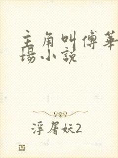 主角叫傅华的官场小说