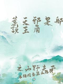 叶天邪是哪部小说主角 叶天邪是哪部小说主角