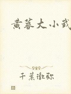 黄蓉大小武番外