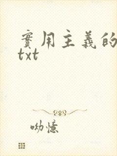 实用主义的爱情txt