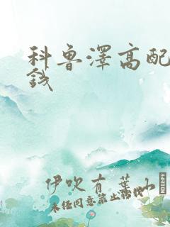 科鲁泽高配多少钱