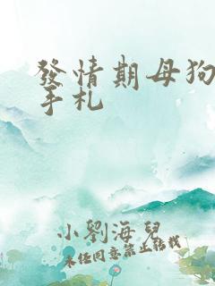 发情期母狗调教手札 发情期母狗调教手札