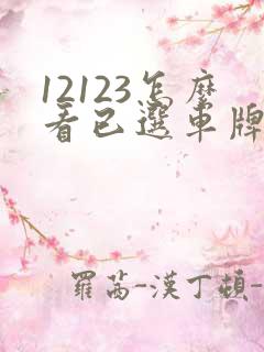12123怎么看已选车牌号