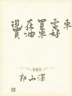 现在买电车还是买油车好