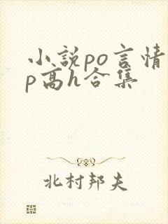 小说po言情np高h合集