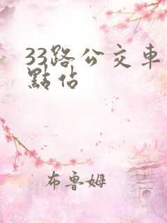 33路公交车终点站 33路公交车终点站