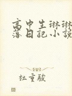 高中生琳琳的堕落日记小说