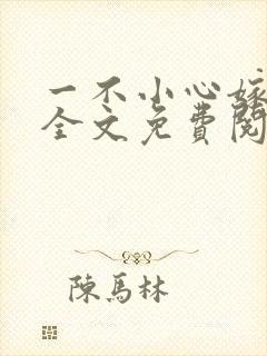 一不小心嫁总裁全文免费阅读