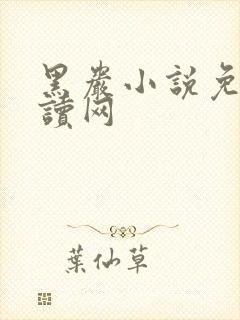 黑岩小说免费阅读网