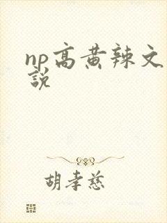 np高黄辣文小说
