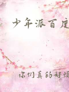 少年派百度百科 少年派百度百科