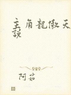 主角龙傲天的小说