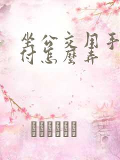 坐公交用手机支付怎么弄 坐公交用手机支付怎么弄
