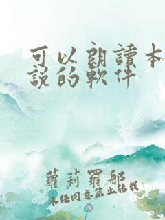 可以朗读本地小说的软件
