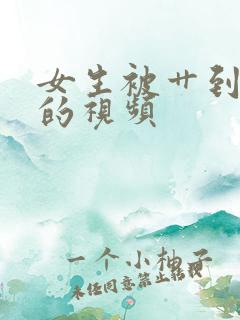 女生被艹到高潮的视频