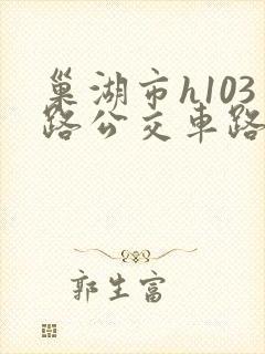 巢湖市h103路公交车路线