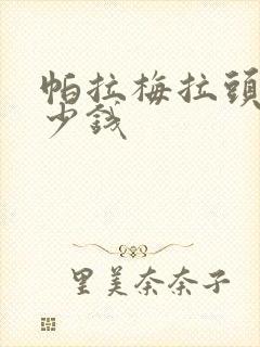 帕拉梅拉头车多少钱