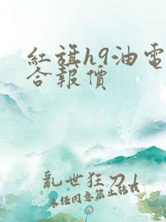 红旗h9油电混合报价